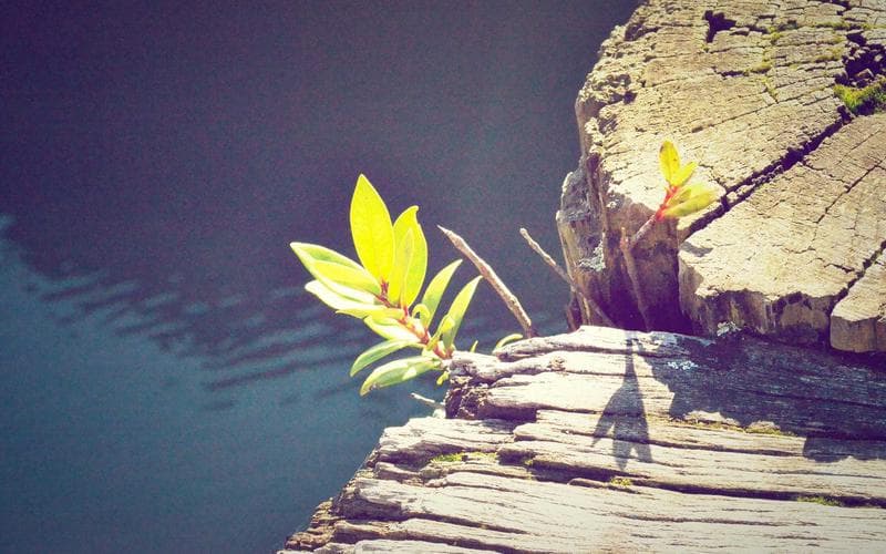 5 Persiapan Fisik Sebelum Berangkat Umroh